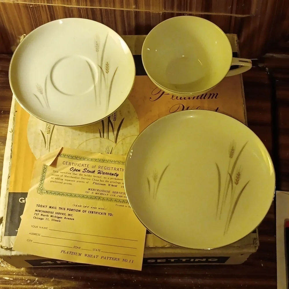 Vintage Platinum Wheat Fine China 4pc place setting in original box